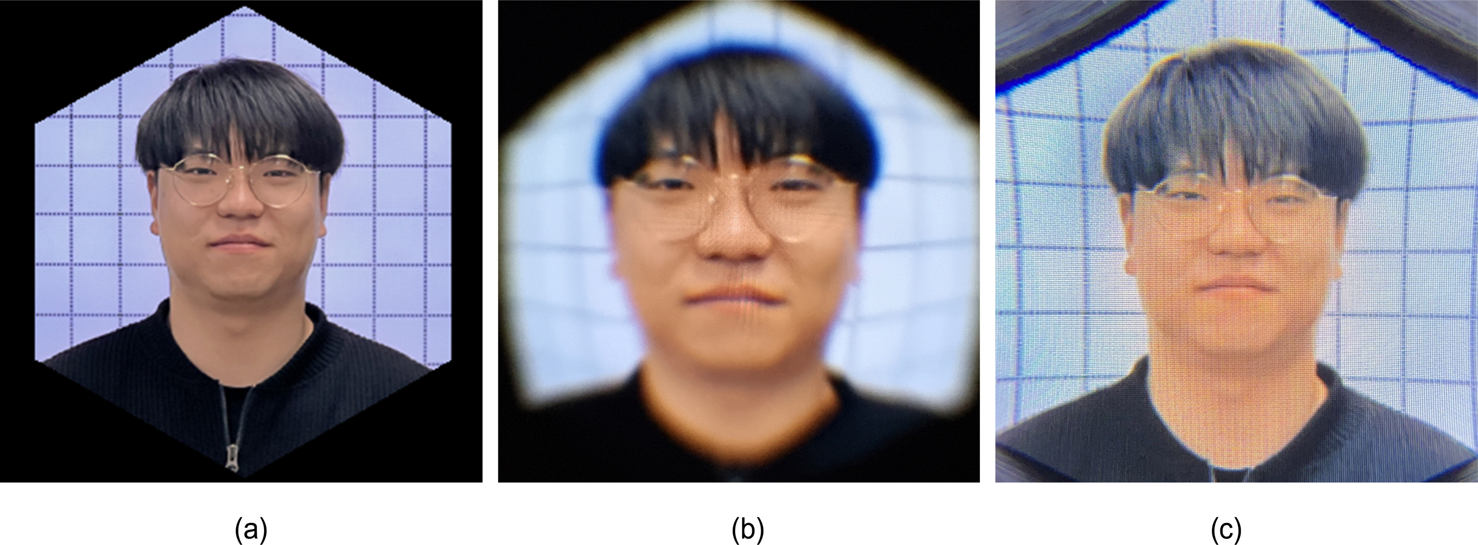 그림 10. 그림 10.