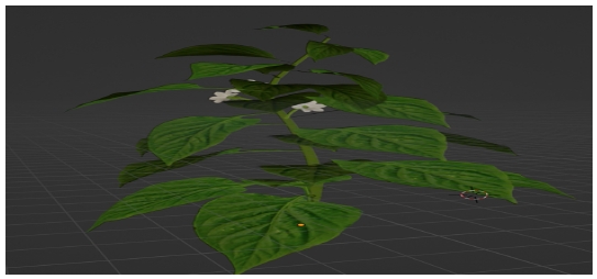 Fig. 3.