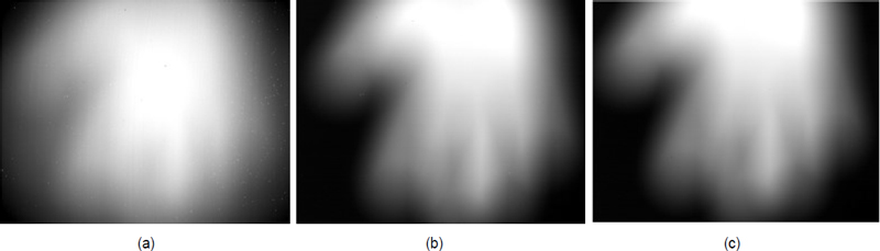 Fig. 7. Fig. 7.