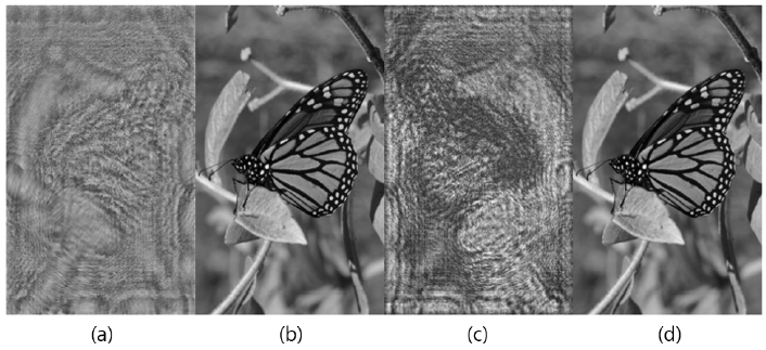 Fig. 1. Fig. 1.