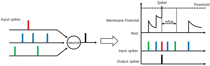 Fig. 1. Fig. 1.