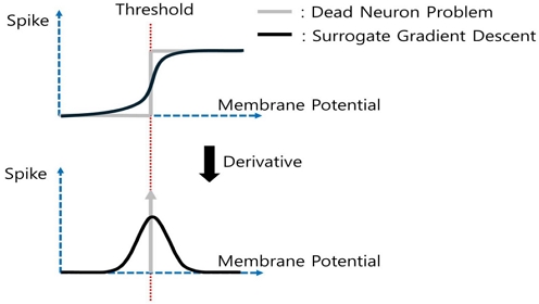 Fig. 2. Fig. 2.