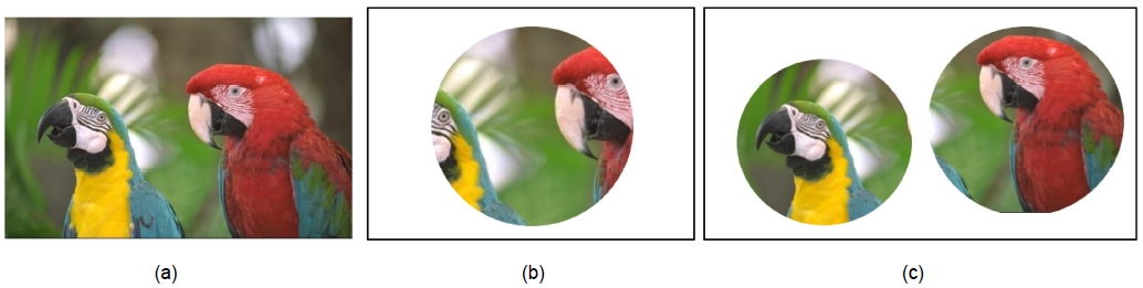 Fig. 1. Fig. 1.