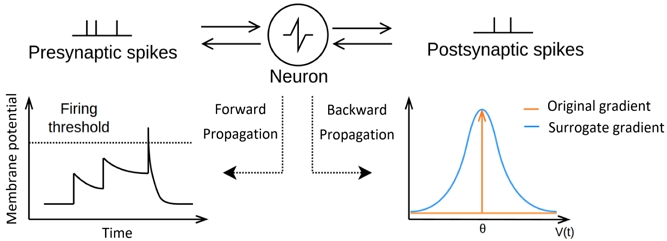Fig. 3. Fig. 3.