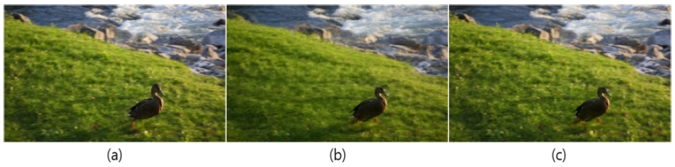 Fig. 12. Fig. 12.