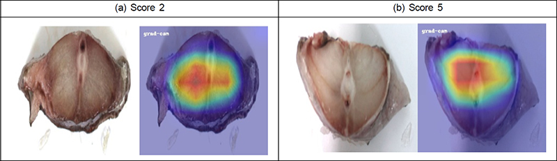 Fig. 15. Fig. 15.