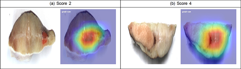 Fig. 16. Fig. 16.