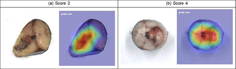 Fig. 17. Fig. 17.