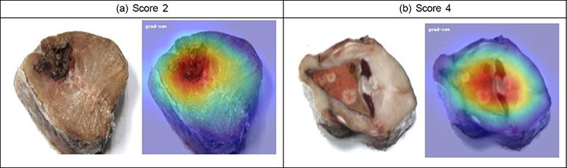 Fig. 18. Fig. 18.
