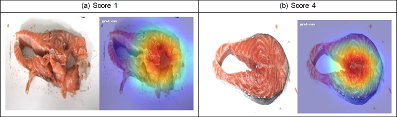 Fig. 19. Fig. 19.