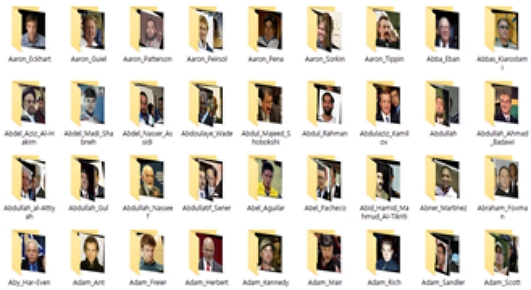 Fig. 2. Fig. 2.